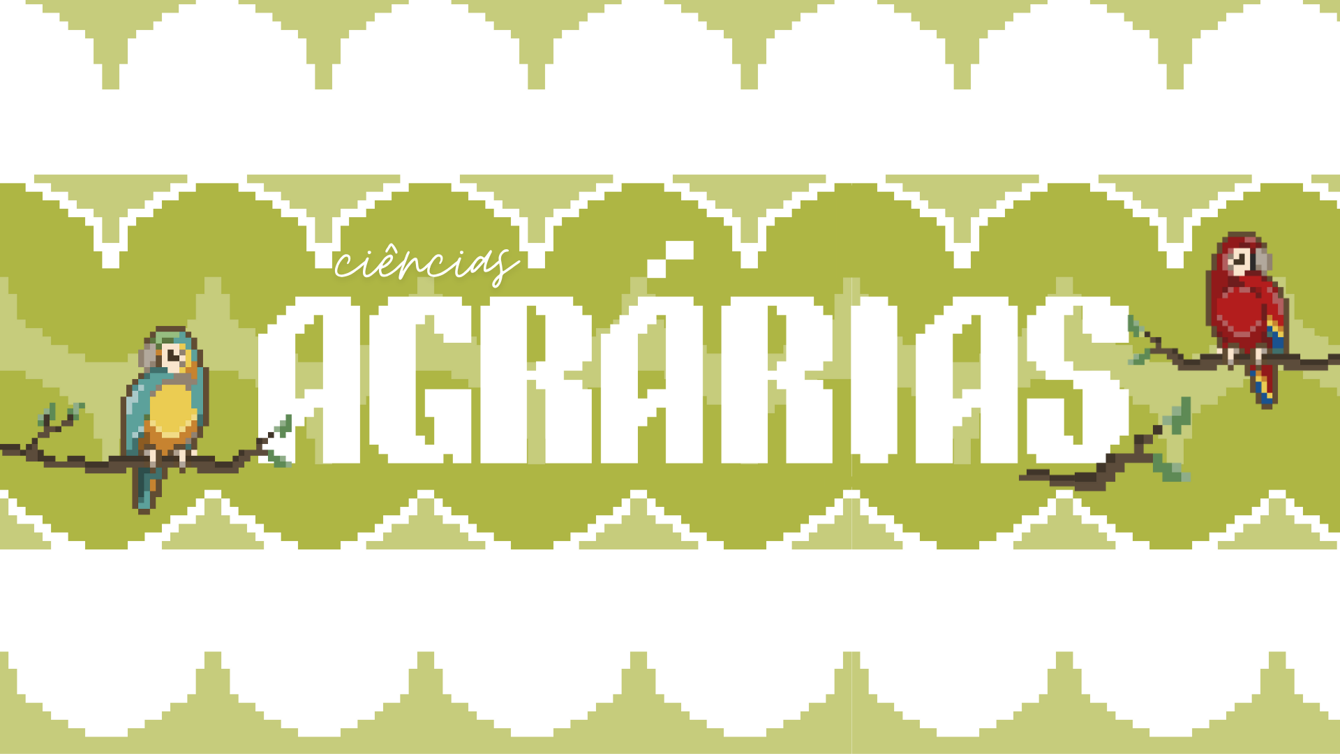 Banner da área Ciências Agrárias